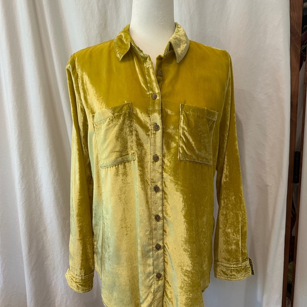 Pilcro Velvet Shirt in Gold / neon